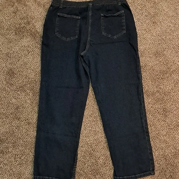 Blair Women's Elastic Waist Zip Up Blue Jeans 14P - Picture 6 of 7